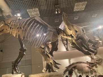 国立科学博物館に投稿された画像（2024/5/5）
