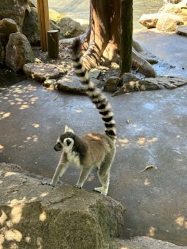 姫路セントラルパークに投稿された画像（2024/5/5）