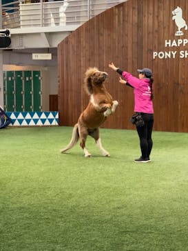 ノーザンホースパークに投稿された画像（2024/5/5）