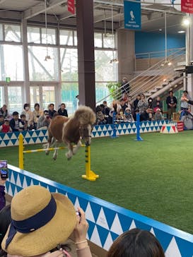 ノーザンホースパークに投稿された画像（2024/5/5）