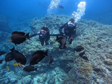 武藤潜水に投稿された画像（2024/5/5）