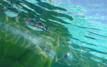 天王寺動物園に投稿された画像（2024/5/5）