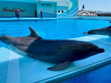 南知多ビーチランド＆南知多おもちゃ王国に投稿された画像（2024/5/5）