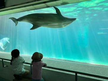 南知多ビーチランド＆南知多おもちゃ王国に投稿された画像（2024/5/5）