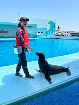 南知多ビーチランド＆南知多おもちゃ王国に投稿された画像（2024/5/5）