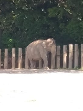 千葉市動物公園に投稿された画像（2024/5/5）