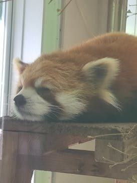 千葉市動物公園に投稿された画像（2024/5/5）