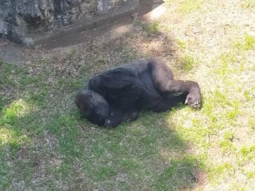 千葉市動物公園に投稿された画像（2024/5/5）