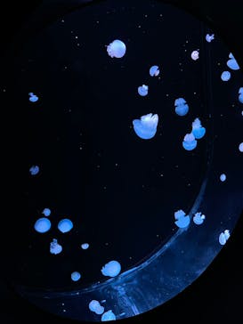 AOAO SAPPOROに投稿された画像（2024/5/5）