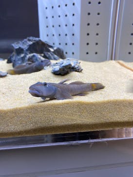 AOAO SAPPOROに投稿された画像（2024/5/5）