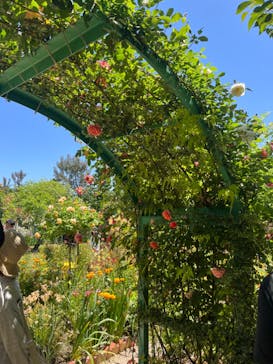 浜名湖花博2024に投稿された画像（2024/5/5）