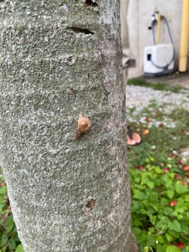 ゆしゆしに投稿された画像（2024/5/5）