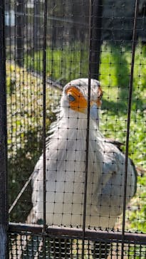 東武動物公園に投稿された画像（2024/5/5）