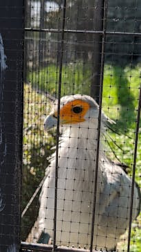 東武動物公園に投稿された画像（2024/5/5）