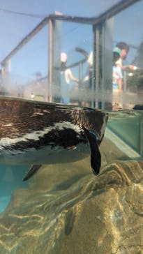 東武動物公園に投稿された画像（2024/5/5）