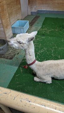 東武動物公園に投稿された画像（2024/5/5）