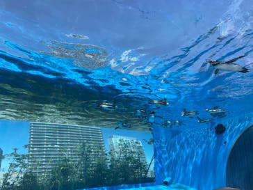 サンシャイン水族館に投稿された画像（2024/5/5）