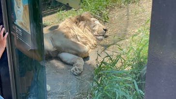 沖縄こどもの国に投稿された画像（2024/5/5）