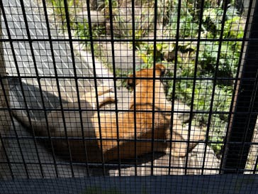 沖縄こどもの国に投稿された画像（2024/5/5）