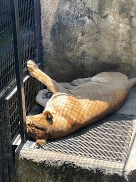 沖縄こどもの国に投稿された画像（2024/5/5）