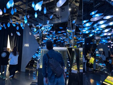 AQUARIUM × ART　atoa×felissimo chocolate museum（フェリシモ チョコレート ミュージアム）に投稿された画像（2024/5/5）