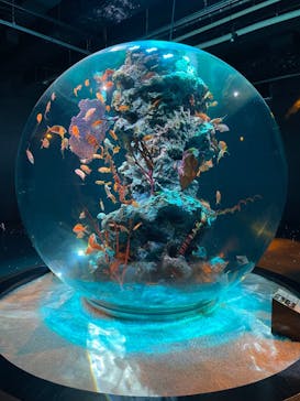 AQUARIUM × ART　atoa×felissimo chocolate museum（フェリシモ チョコレート ミュージアム）に投稿された画像（2024/5/5）