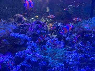 しながわ水族館に投稿された画像（2024/5/5）