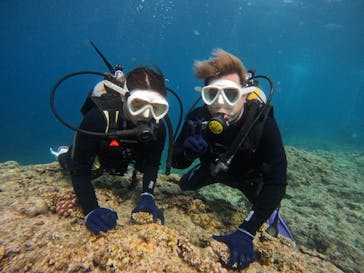 沖縄マリンサービス碧に投稿された画像（2024/5/5）