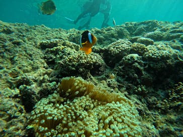 沖縄マリンサービス碧に投稿された画像（2024/5/5）