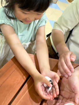 南知多ビーチランド＆南知多おもちゃ王国に投稿された画像（2024/5/5）