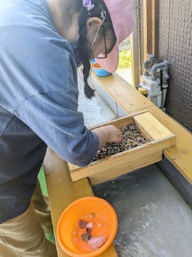 Discovery Worldに投稿された画像（2024/5/5）