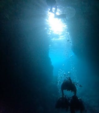 沖縄マリンサービス碧に投稿された画像（2024/5/5）