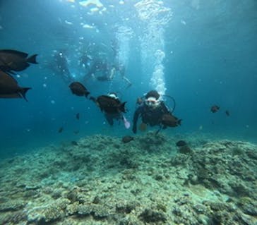 沖縄マリンサービス碧に投稿された画像（2024/5/5）