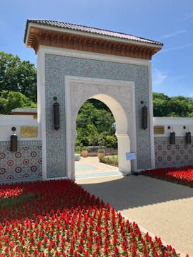 ぎふワールド・ローズガーデンに投稿された画像（2024/5/5）