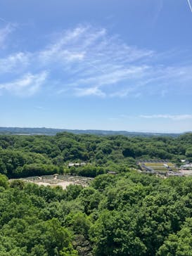 ぎふワールド・ローズガーデンに投稿された画像（2024/5/5）