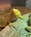 NARA IKIMONO MUSEUMに投稿された画像（2024/5/5）