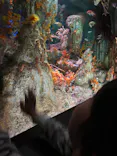 サンシャイン水族館に投稿された画像（2024/5/5）