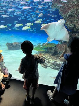サンシャイン水族館に投稿された画像（2024/5/5）