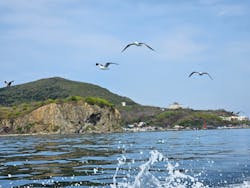 小樽青の洞窟わくわくクルージングに投稿された画像（2024/5/5）