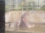 しろとり動物園に投稿された画像（2024/5/5）