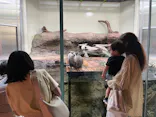 仙台うみの杜水族館に投稿された画像（2024/5/5）