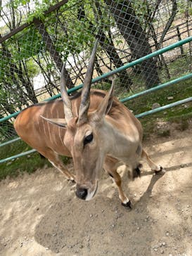 東北サファリパークに投稿された画像（2024/5/5）