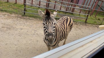 東北サファリパークに投稿された画像（2024/5/5）