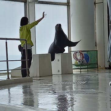 アクアワールド茨城県大洗水族館に投稿された画像（2024/5/5）