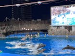 名古屋港水族館に投稿された画像（2024/5/4）