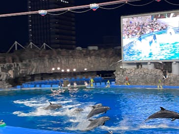 名古屋港水族館に投稿された画像（2024/5/3）