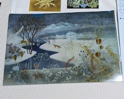 佐野美術館に投稿された画像（2024/5/5）