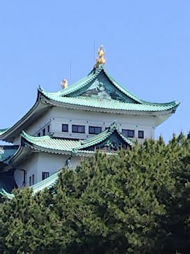 名古屋城に投稿された画像（2024/5/5）