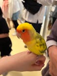 Moff animal cafe イオンモール幕張新都心店に投稿された画像（2024/5/5）