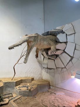 NIFREL（ニフレル）に投稿された画像（2024/5/5）